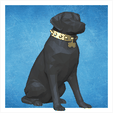 Labrador.png Lowpoly labrador with collar