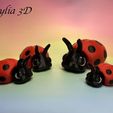 Ladybug-2.jpg Flexi Ladybug - Comercial
