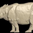 17.jpg Rhino,3D STL MODEL, CNC ROUTER ENGRAVER, ARTCAM, ASPIRE, CNC FILES, WOOD, ART, WALL DECOR, CNC, INSTANT DOWNLOAD