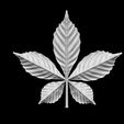42342423423.jpg chestnut leaf