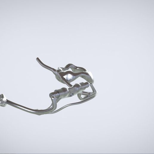 Snapshot_2017-3-1_13-11-49.jpg Digital Dr. Williams's Ortho Appliance