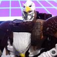 20230303_192338.jpg WFC Airazor pecho