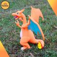 6.jpg pokemon / Charizard By Colors