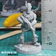 B4-RY_Print_Scale.jpg B4-RY o Robô