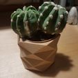 20171129_225559.jpg Archivo STL POLY・Objeto de impresión 3D para descargar