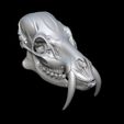 bandicam-2026-02-08-13-51-37-615.jpg CHINESE WATER DEER SKULL