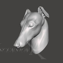porto2.jpg Download OBJ file Italian Greyhound • 3D print object, AscensionX