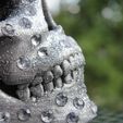 IMG_4824.JPG Skull with diamonds