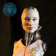 329673288_762822374781640_4479191305026708400_n.jpg Chica robot steampunk