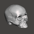 01.png Skull_001