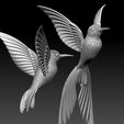 65869.jpg colibri humming bird