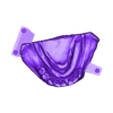 789513050_20241213_1252_Tech_01__H_flex_A3_redesign_Antag.stl DIGITAL FLEXIBLE UPPER PARTIAL DENTURE  (3D models !!!) - 7 stl files for download)