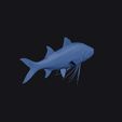 giant_african_threadfin_0007.jpg Giant African Threadfin