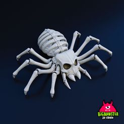 Spider_Skull_08.jpg Fichier 3D Crâne d'araignée・Modèle pour imprimante 3D à télécharger