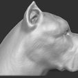 7.jpg Cane Corso dog head for 3D printing