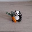 pandaming-3.jpg PANDA Ming 🐼