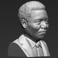 nelson-mandela-bust-ready-for-full-color-3d-printing-3d-model-obj-mtl-fbx-stl-wrl-wrz (30).jpg Nelson Mandela bust ready for full color 3D printing
