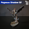Pegasus_001.png Pegasus Elfe noir