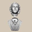 b7.jpg Joker Collectible Bust - Heath Ledger 3D print model