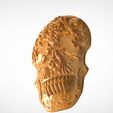 норм-свет.420.jpg scull stl,sign for room,3D stl model for cnc users,cnc milling machine,v-carve,artcam,vetric,cnc files,wood,art,decor walls,cranium.