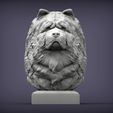 chow-chow1.jpg Modèle imprimé en 3D du buste de Chow Chow