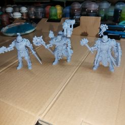 Mécanicien prétorien