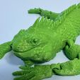 Articulated Iguana