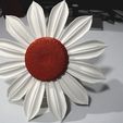 editable-9.jpg 3D Sunflower
