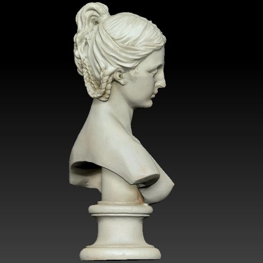 5.jpg Vintage Lady Bust two