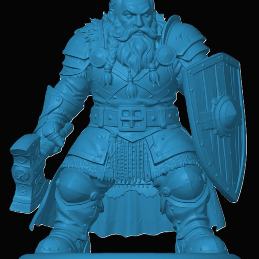 Dwarf Fighter