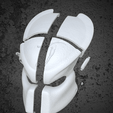 Image03.png Scar Predator Bio Mask
