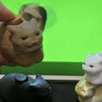 IMG_4736.jpg Oiia Oiia Cat meme spinner