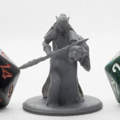 P4260066.jpg Free STL file Elf Blood Paladin - Tabletop Miniature・Template to download and 3D print