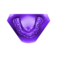 ABO 2013 Base Lower jaw.stl Maxilla and Mandible orthodontic study models with an ABO 2013 base.