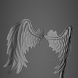 20190816_215826.jpg Wings