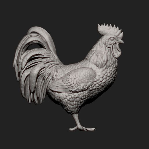 STL file Rooster 3D print model 🐓 (OBJ)・3D printer model to download・Cults