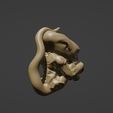 alien1jpg.jpg Baby, alien and vole embryos