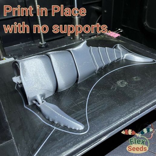 c5831880-0253-45f1-a953-14aa04f8d7fe.jpg Flexi Humpback Whale - New Type(print-in-place)