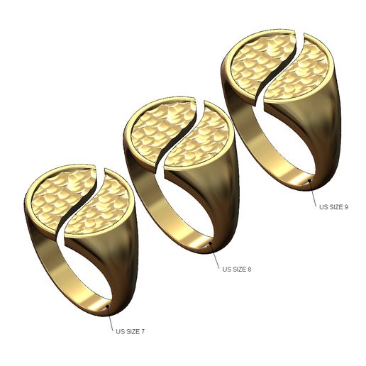 Split round signet with hammered textured top Us sizes 7 8 9 3D print model 3D model