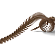 Image0005.png Fin Whale Skeleton – Realistic Marine Anatomy 3D Model