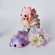 20230310_143521837_iOS.jpg STL-Datei Axolotl Kaulquappe Flexi・Design für 3D-Drucker zum herunterladen
