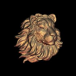 42.jpg lion