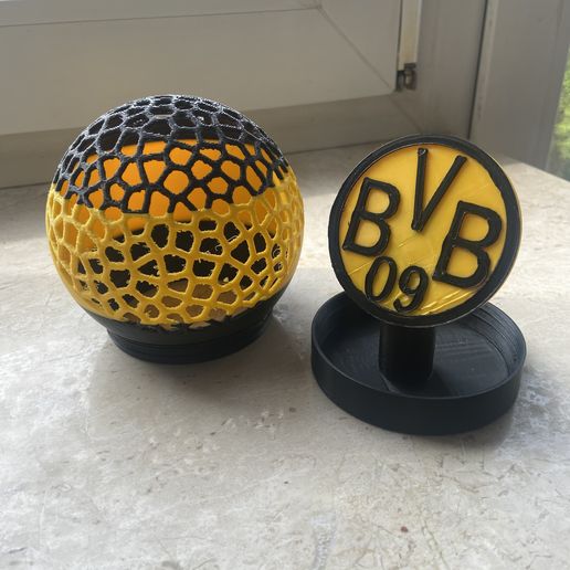 IMG_6553.jpeg BVB ball money box Voronoi