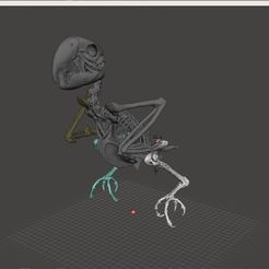 Unbenannt.JPG STL-Datei Macow Skeleton herunterladen • Objekt zum 3D-Drucken, HarryHistory