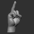 ZBrush-Document1.jpg middle finger 3D printable model