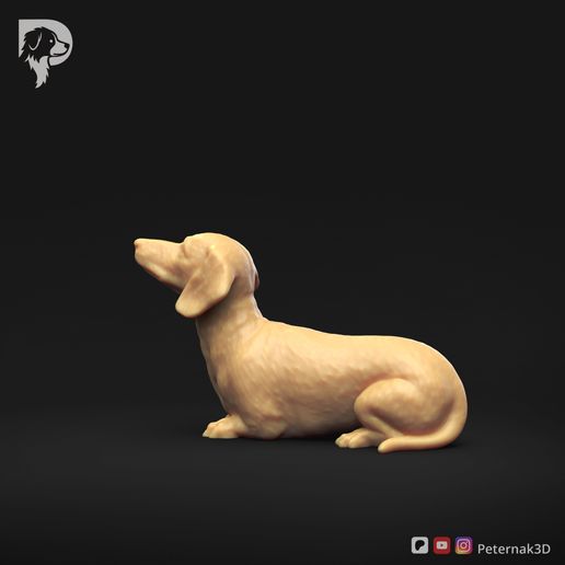 Dachshund-Miniature-Smooth-Haired-Pose-08-Dog-3D-Print-7s.jpeg Dachshund Miniature Smooth Haired Pose 08