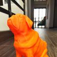 photo1681589489-3.jpeg Pug dog sculpt
