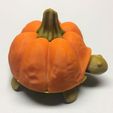turtle_1.jpg Pumkin top for Squishy Turtle