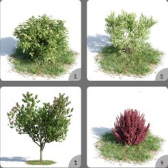 01.jpg Green Tree Flowers 3D Model