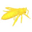 reina.jpg Archivo STL ABEJA REINA (APIS MELLIFERA) realista・Objeto imprimible en 3D para descargar
